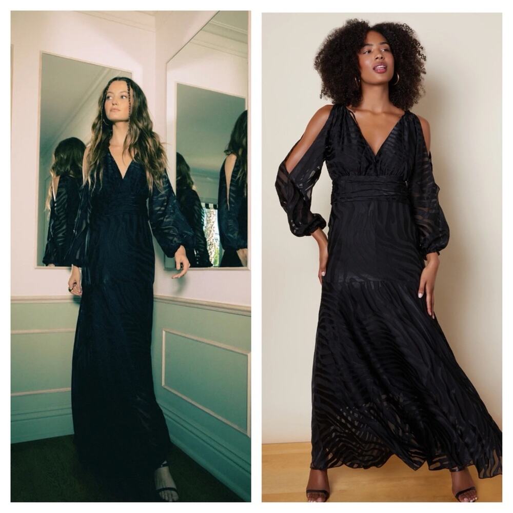 NWT Anthropologie Hutch Jac Maxi Dress Size 0 Black Zebra Burnout Whimsigoth - Picture 2 of 15